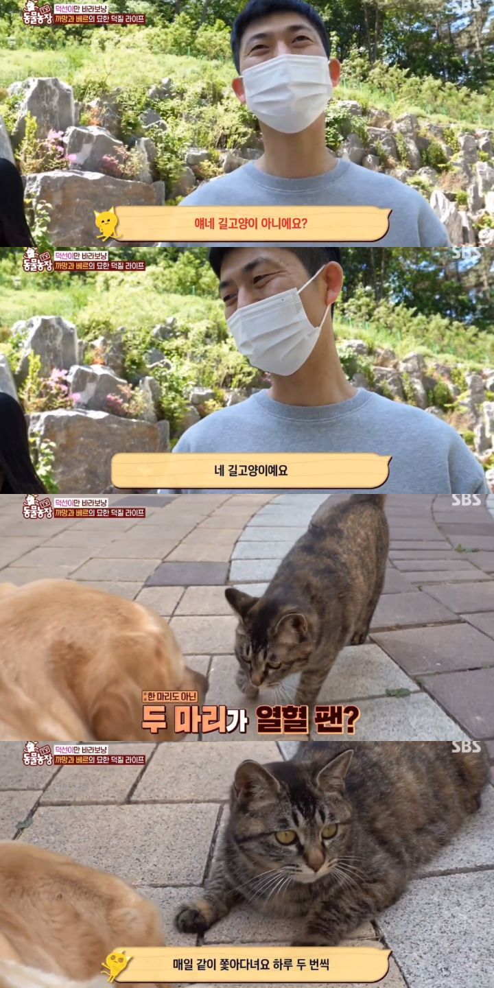 8a0992b8afa136cf195c6116dae4fa77337e14e6