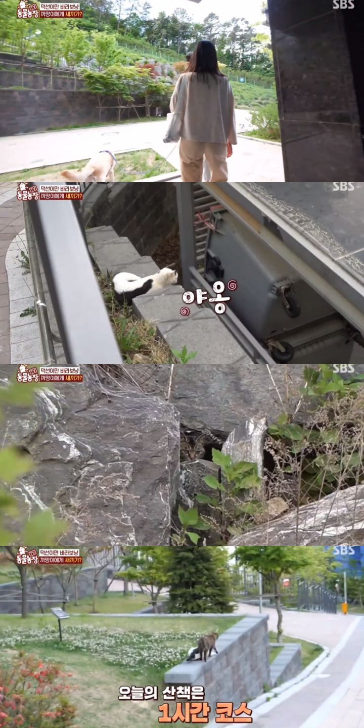 8c38ad4f7c80fc75e3ff0673ea431f9f2720bdb7