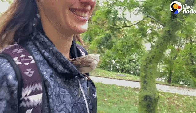 9529ca46cfaf8806e2c95ef032a0181c949baf53