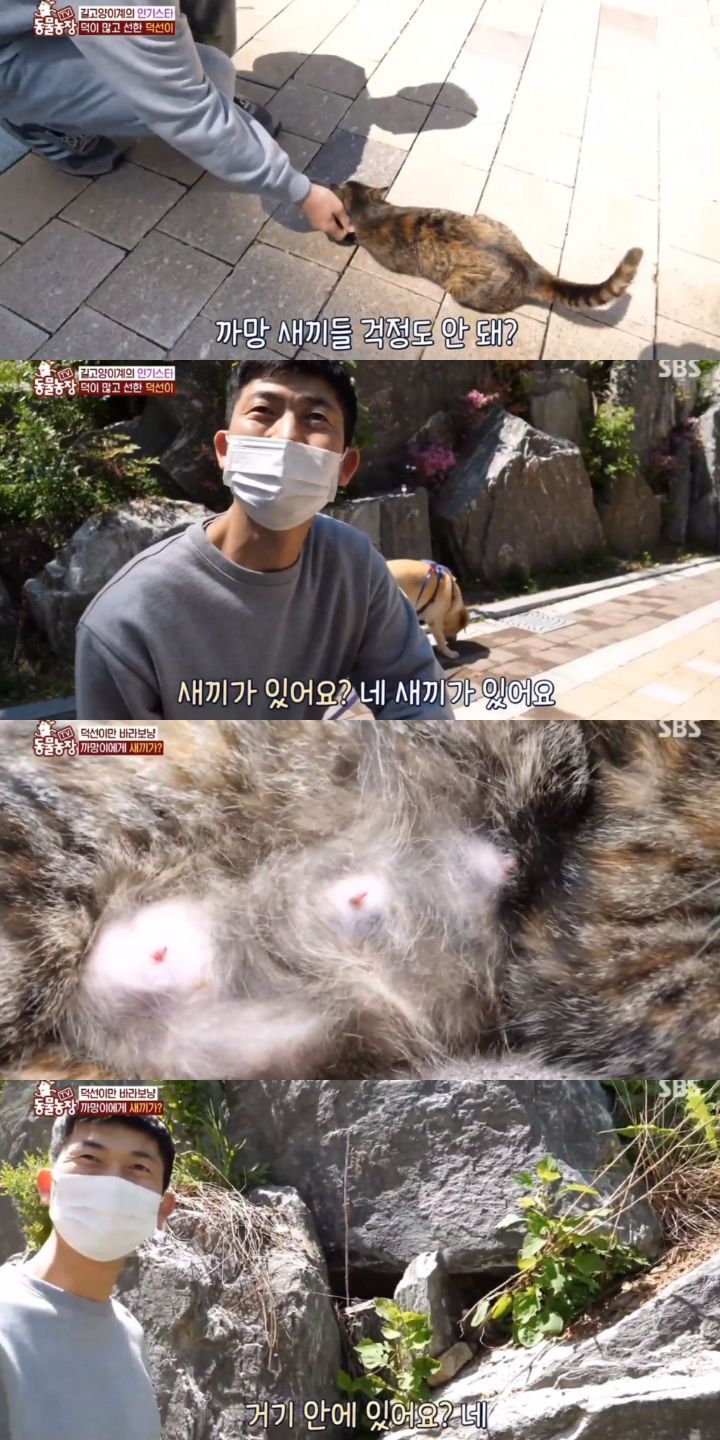 96909a362e077a5a3b17000c46587430fd324e22