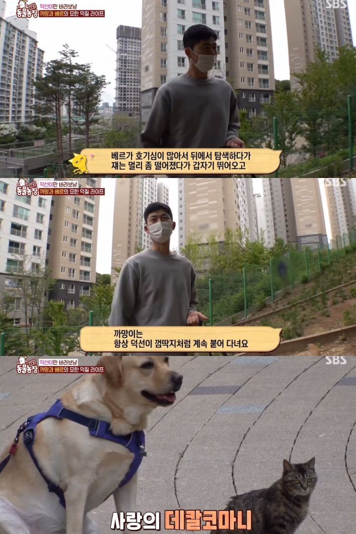 986304a31165104baf1c4c2e03af86a69bb9d85c