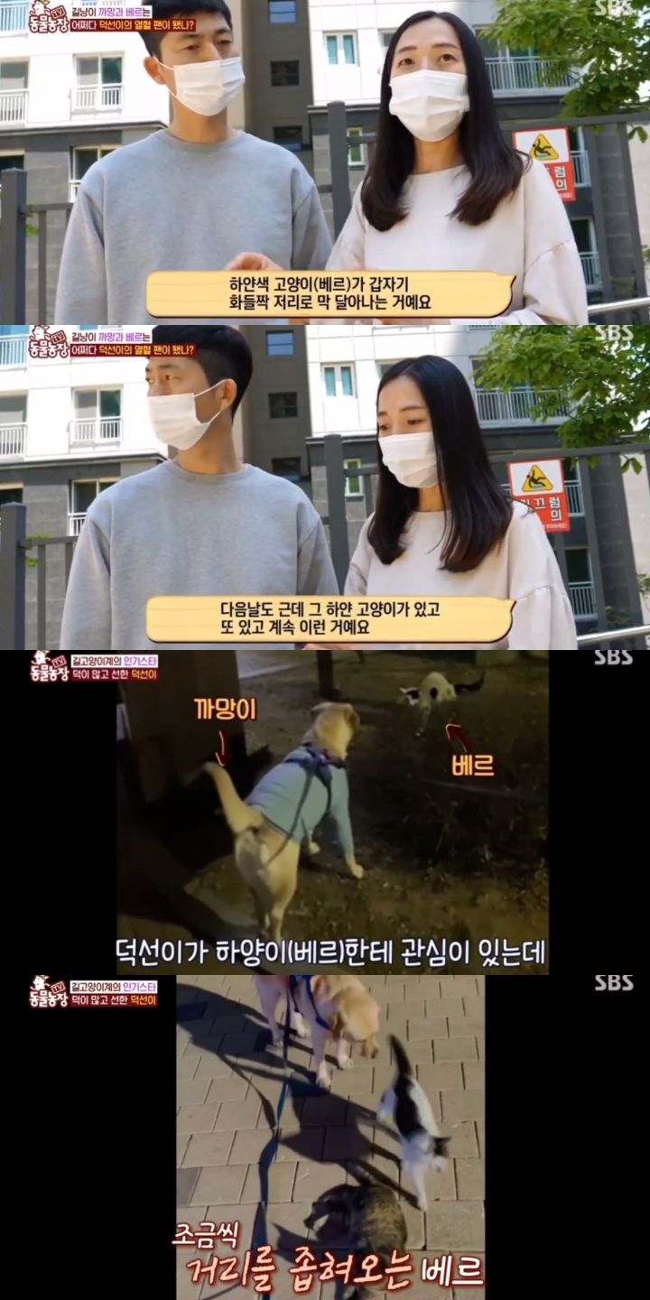 98b20d25d557cfd0d89c2633f60252748739c0aa