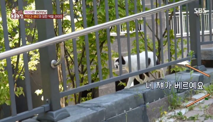 99685cf33cc732acf7cab7ef4a5cb33fa675c296