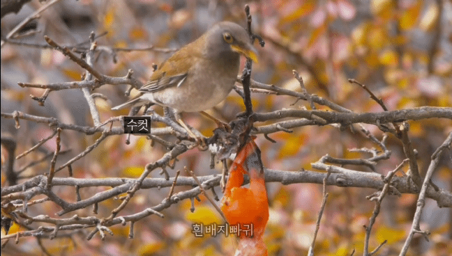 9de78d513a1ac416f153ca4ce46071ebeec87d50