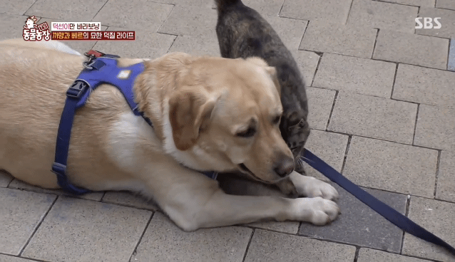 9e5d1f161ff6c47b2b28b15c1f6c5517e1340c10