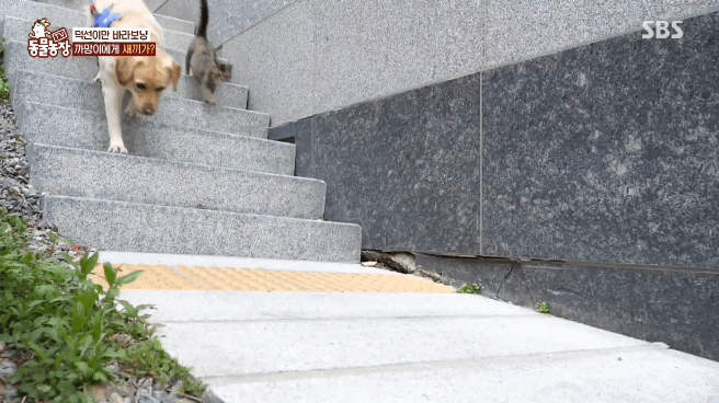 a05cc6e8fe0c918b5c4f1c8794fe6850c556f0f5