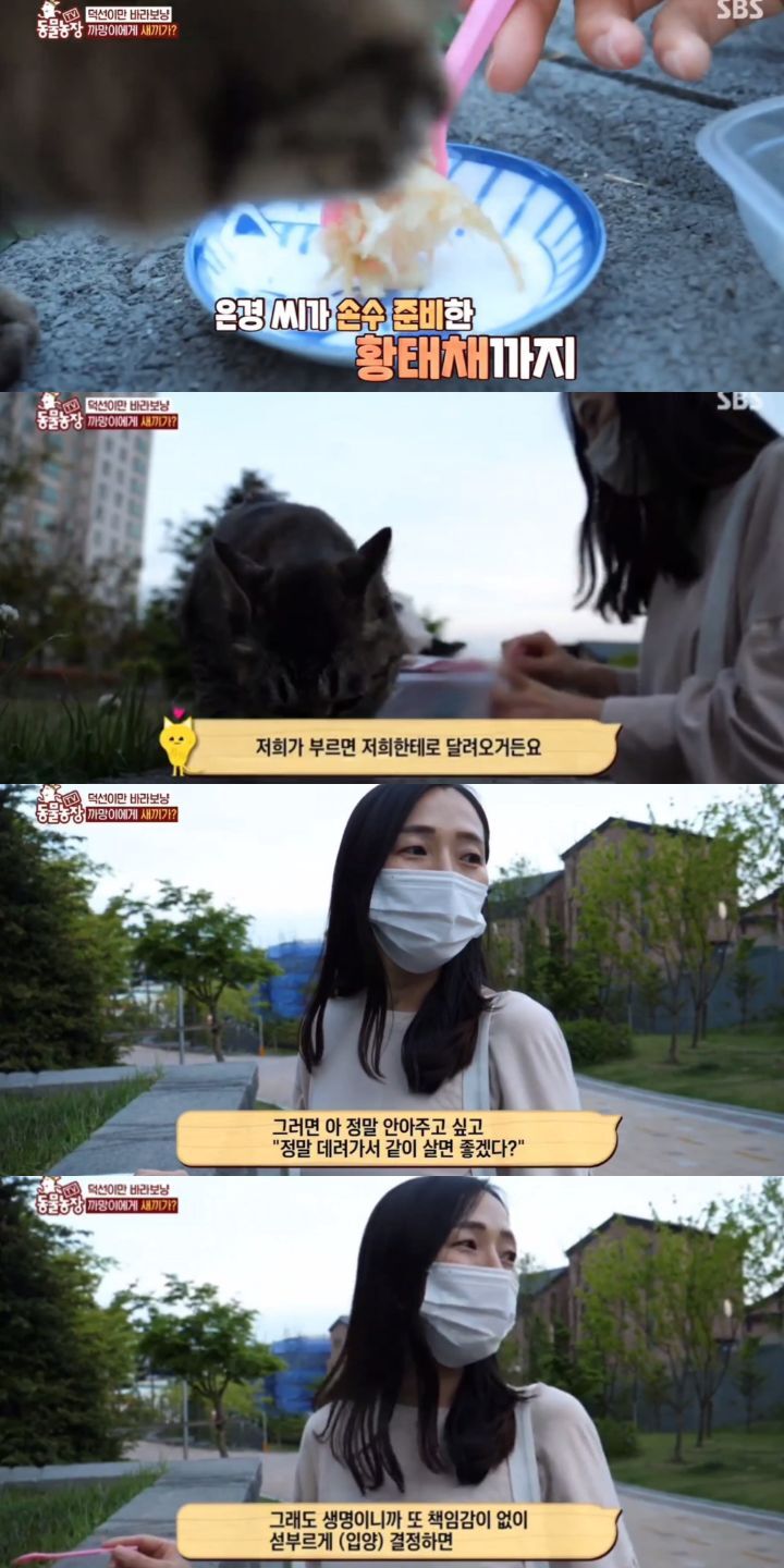 a090533813c37558a4a675db780569b21c8a7204