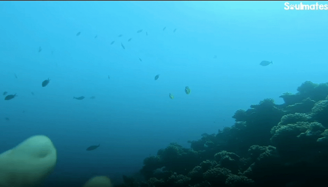 a16825173e70aa8d8123196a1238f4c755253c89