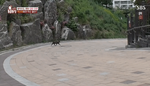 a17a69f488f75dc78130438d3c41c95dbc745c90