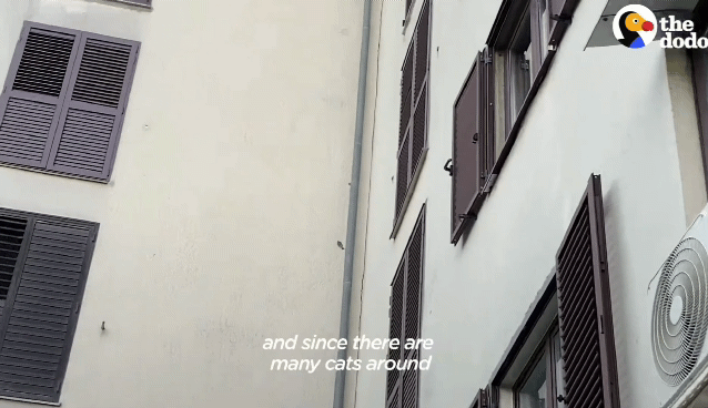 a217f139c180f431be10f2bf030f8719e9530ecf