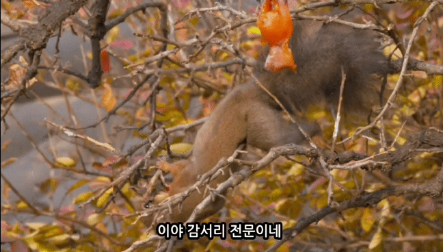 a39319aa1fb6d643d14a20690a1de7314dbc9866