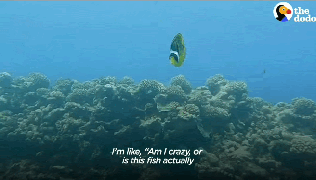 a5cb8fdca5a0f1412afe96f29ddb1d41bd5776d3