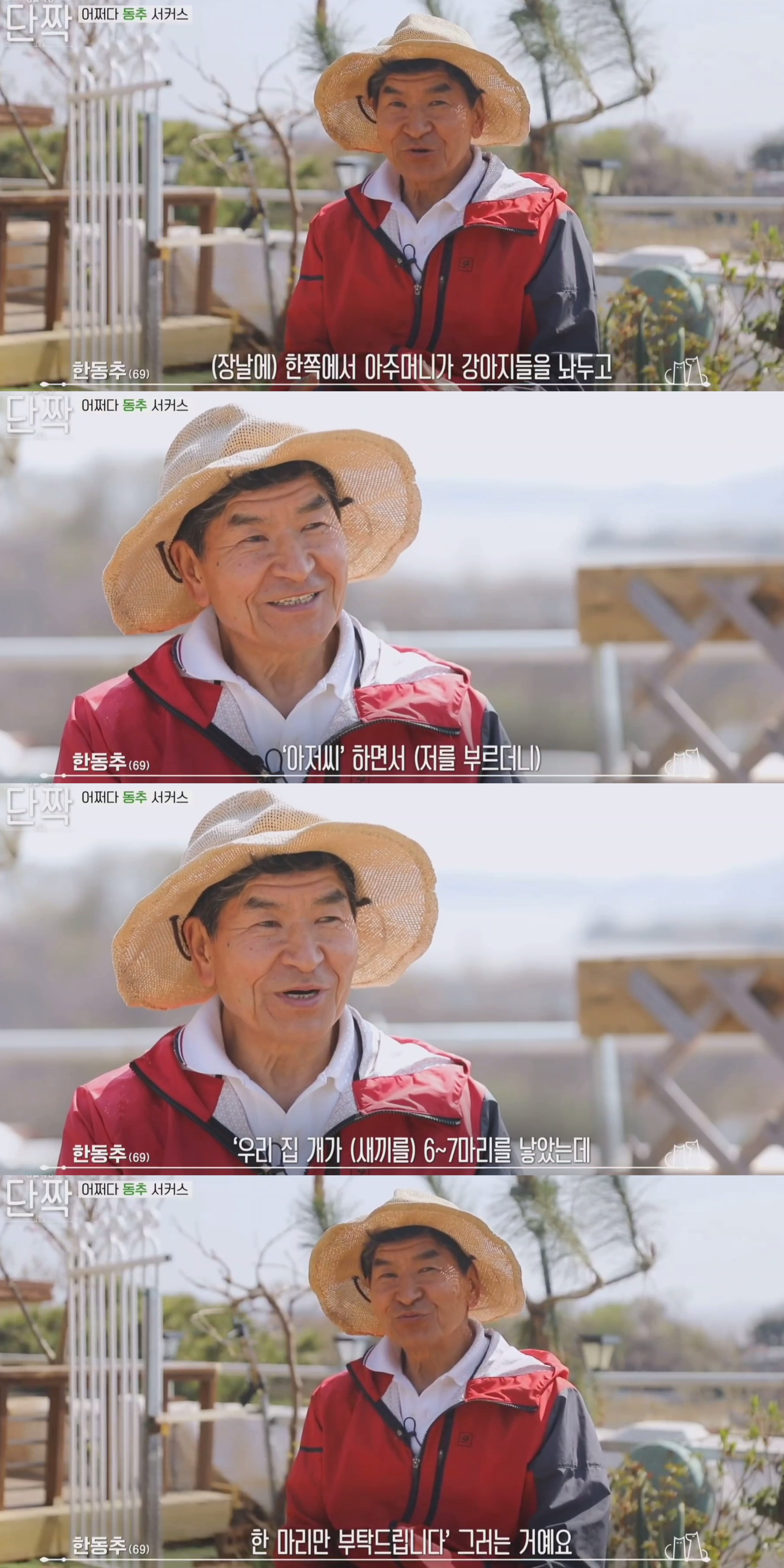 귀엽고 주인 할아버지가 웃긴 호빵이네 가족.jpg | 인스티즈