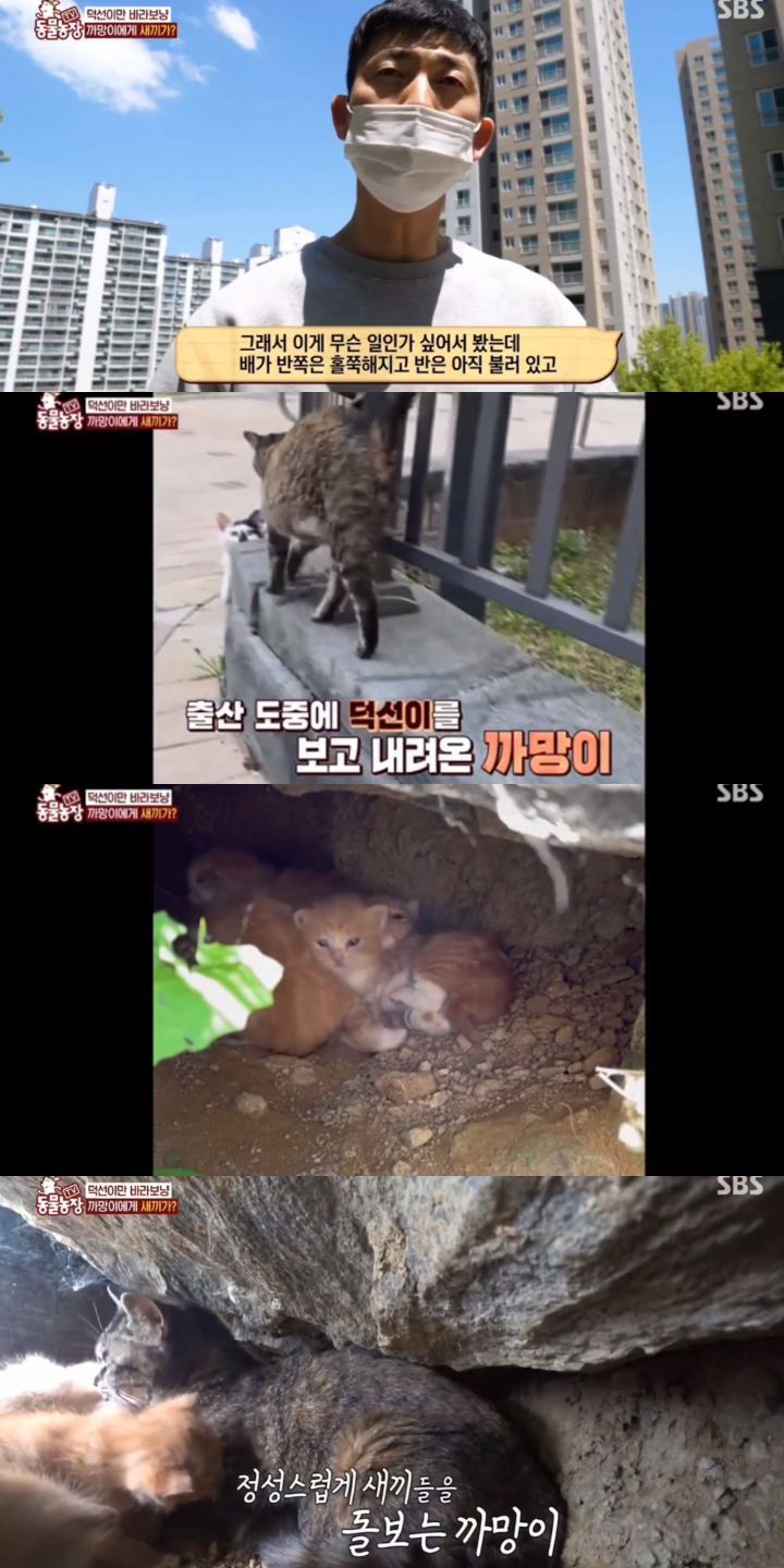 a7d2597b50f5e96934ec81fe549b394f80afce43