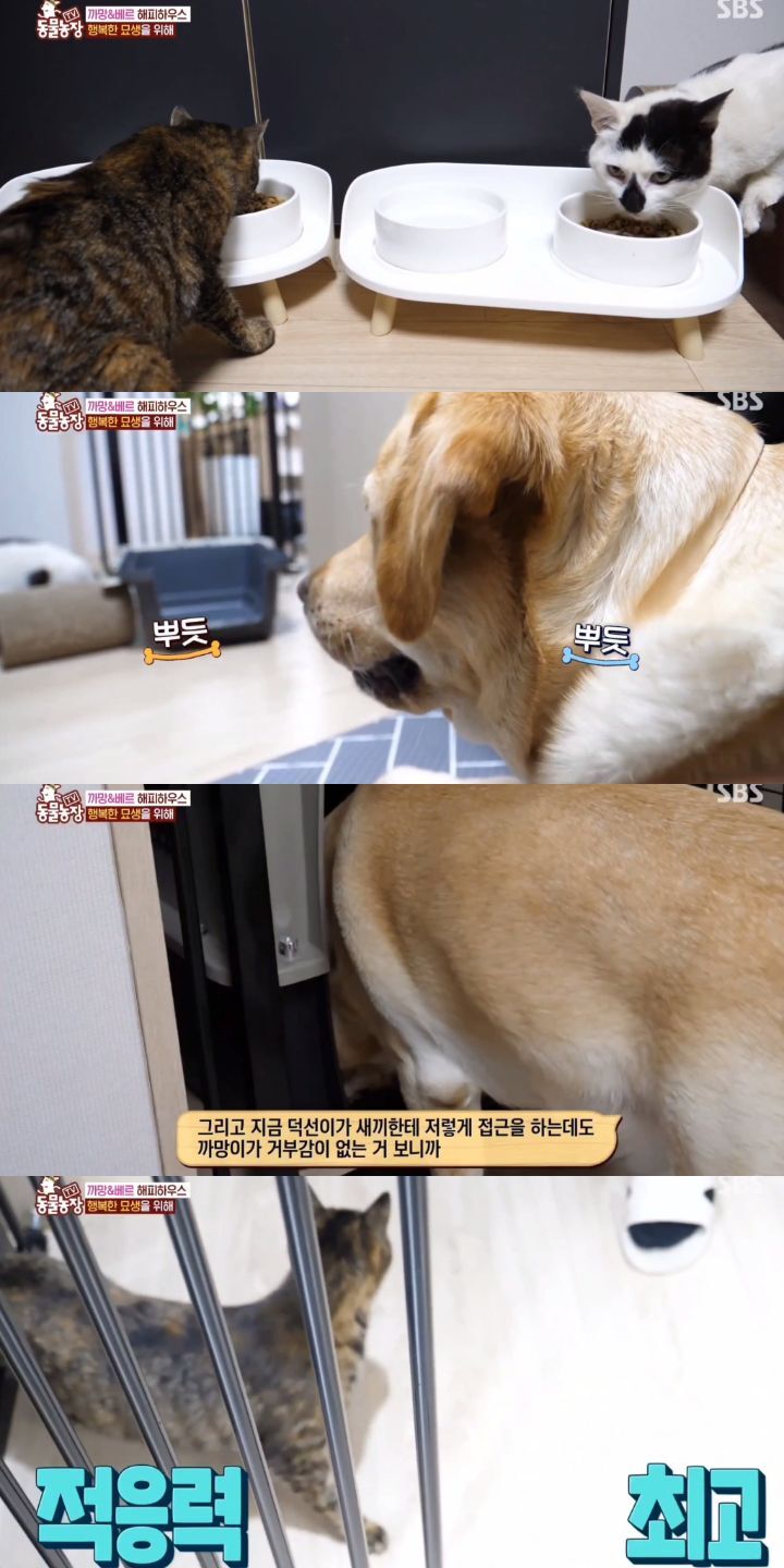 ab5fbcdcdd69cb3a67ec0de70503031b2e2b66e7