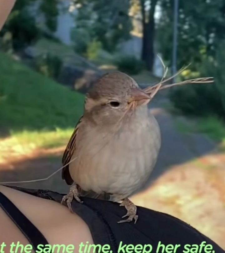 ad268bd6097248061f28a864ed0fe17817ebdba9