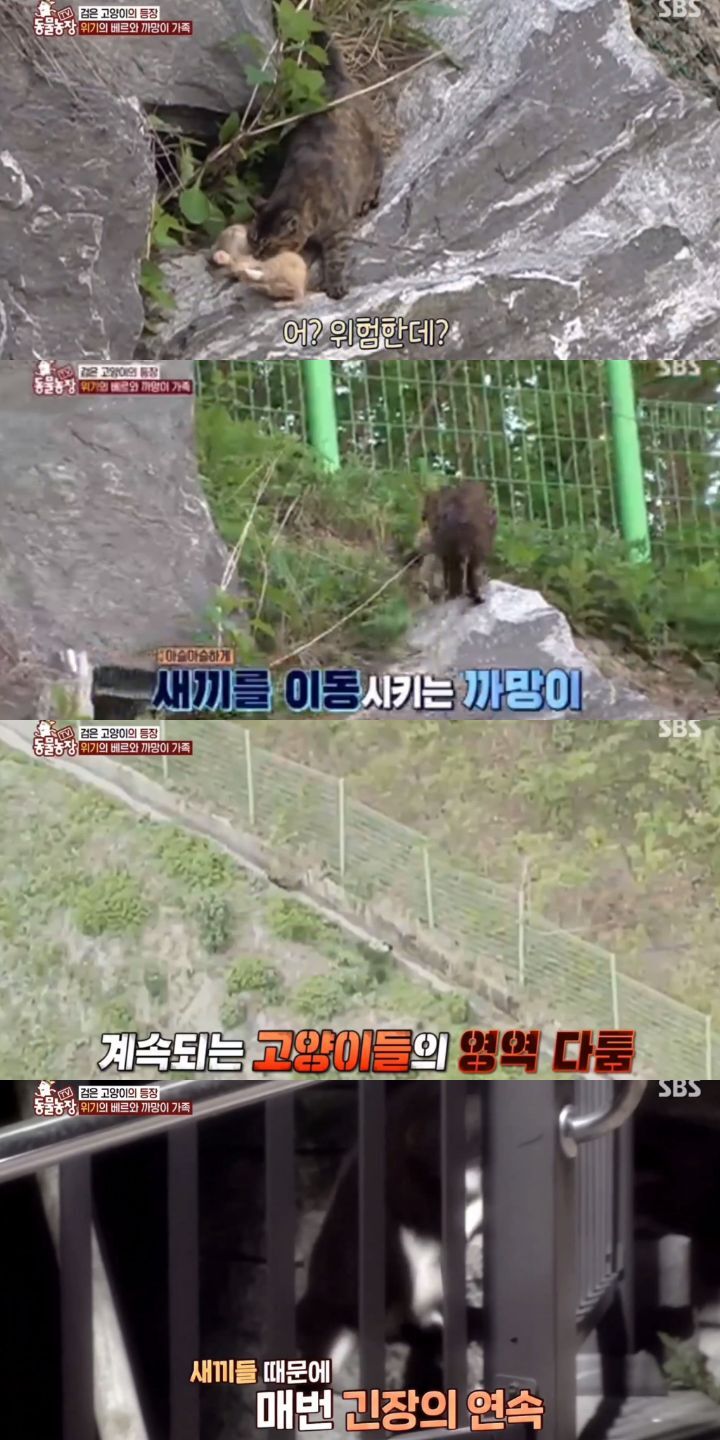 ada0dea2c11a69d7f01e4ada78accb1e5b54e359