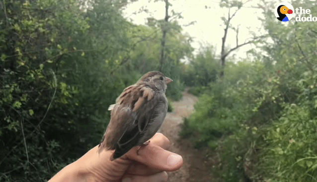 b20be626913d31ce3d5f7709aebb52c136b0ad21