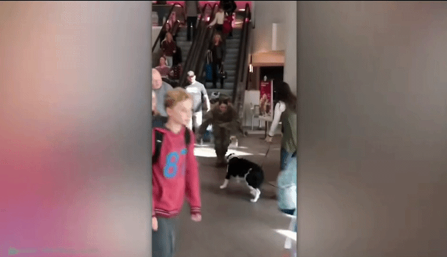 구조해준 사람들과 재회한 동물들.gif | 인스티즈