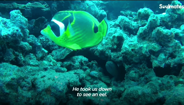 b60a54d39d867ec1ad9a593e8e1da75daca090b3