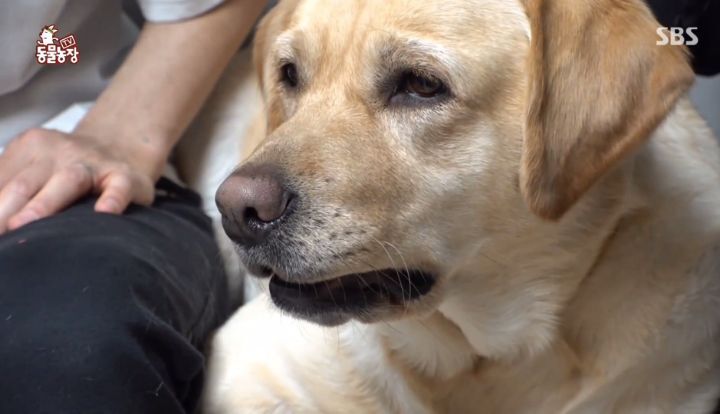 b7ee5630b85357264f4a1389ddf927dd94c66f89