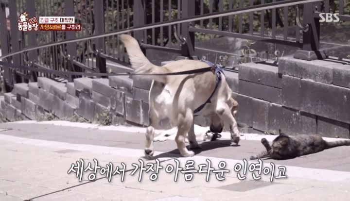 bda9b2e23f348a96423eb6b072f3c88026022a4d