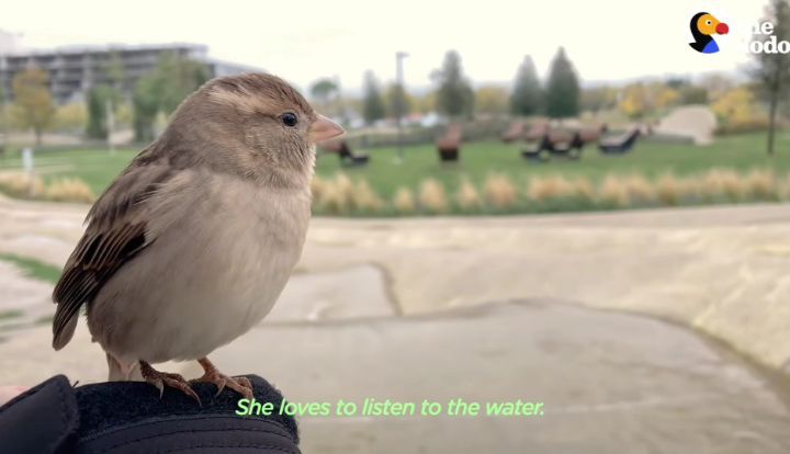 c040dd2bc0e626b237be2607d403e9a6ea40ab07