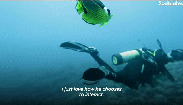 c4623c0d69fc7db204b50283fcacab341ea0dbaa