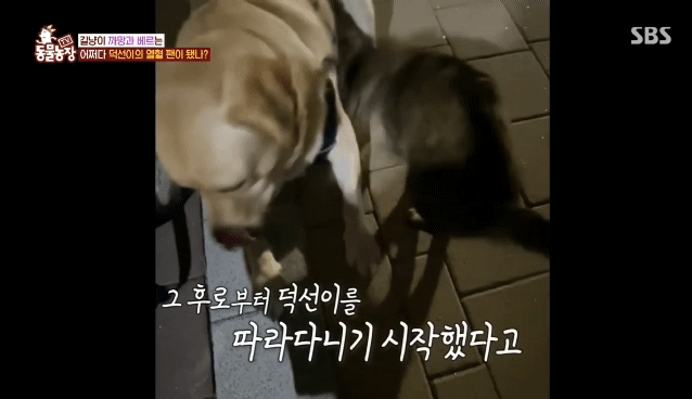 c53badc188deaf0f776eeb15a5df7aa348c9ea7a