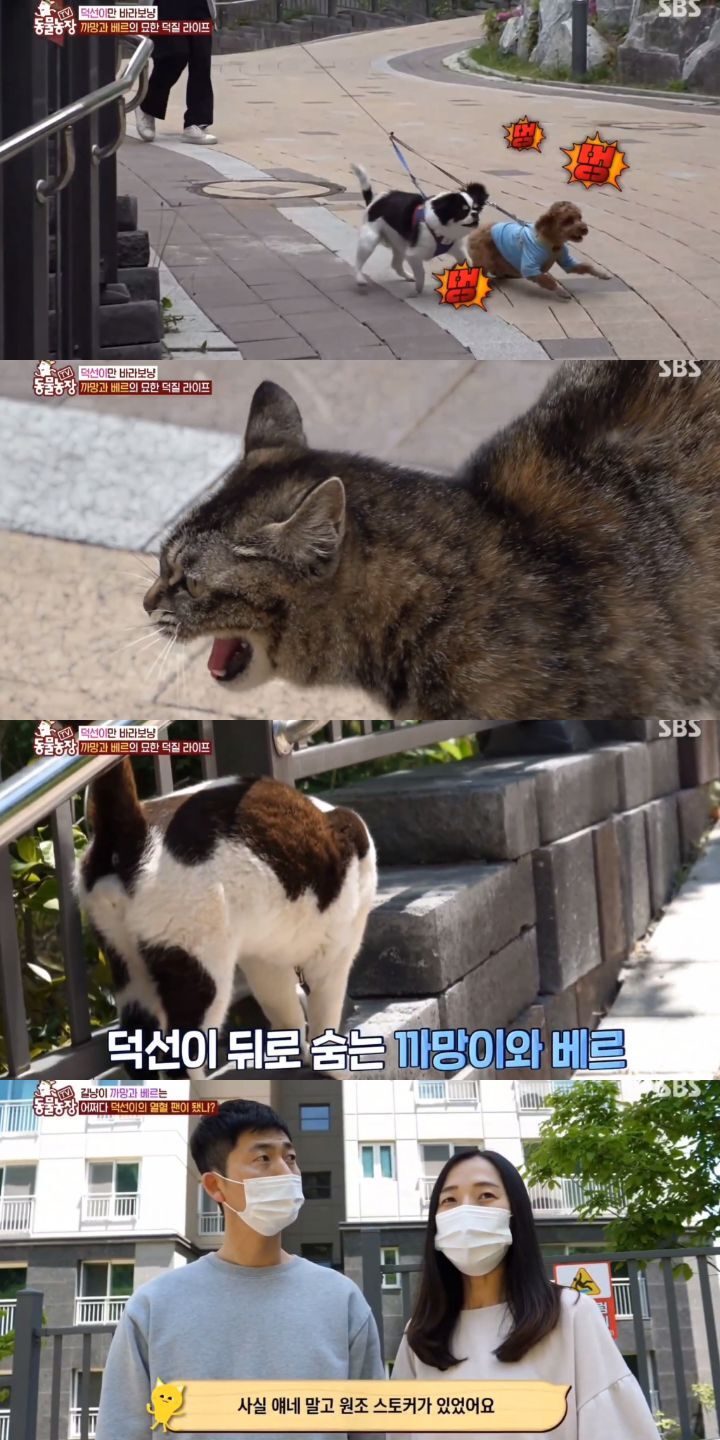 c59d07c5fd82a1bcda67db29b997b7626e64c29a