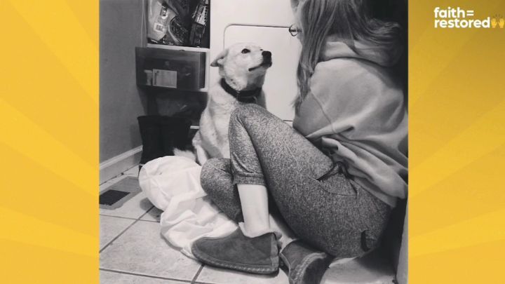 떠돌이 개에서 사랑받는 댕댕이가 되기까지.gif | 인스티즈