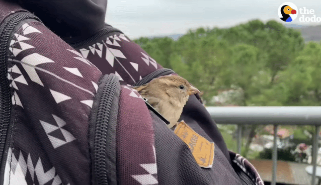 ca94ea40335de5af832805c800fdb540e7c10110