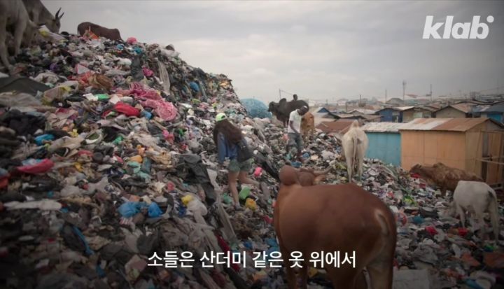 우리가 헌옷수거함에 버린옷들이 향하는 곳 (좀 충격적임) | 인스티즈