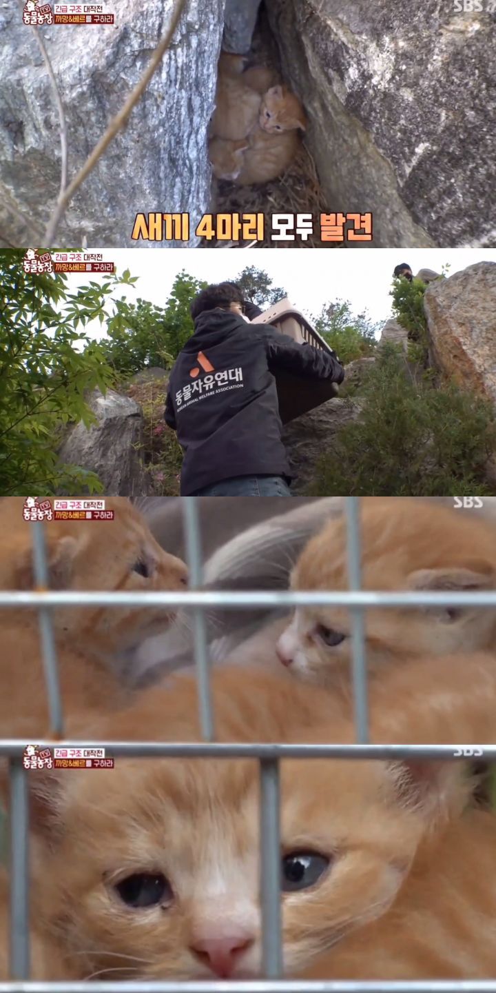 d402dd195a9f9432771a5aea312f373903b5dc48