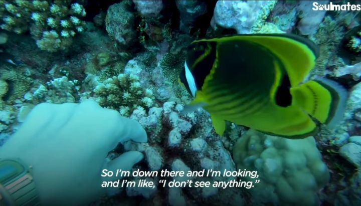 d70b961c4627c1fa0285f16161dfc64cbba7f326