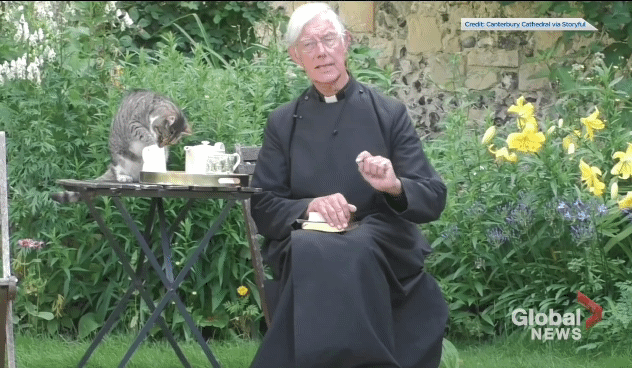 설교중인데 뒤에서 우유 훔는 고양이.gif | 인스티즈