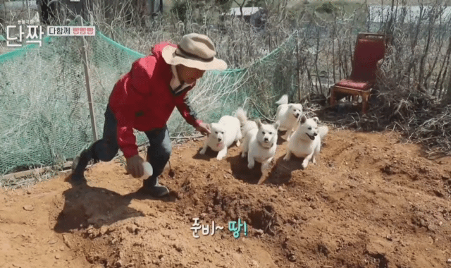 귀엽고 주인 할아버지가 웃긴 호빵이네 가족.jpg | 인스티즈