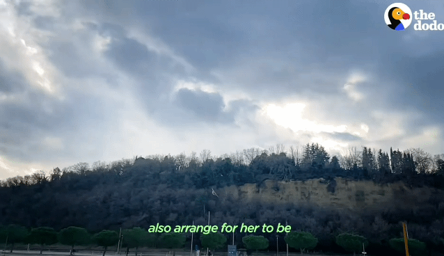 dda8ebb841d27598c9a6977a0daea28796779705