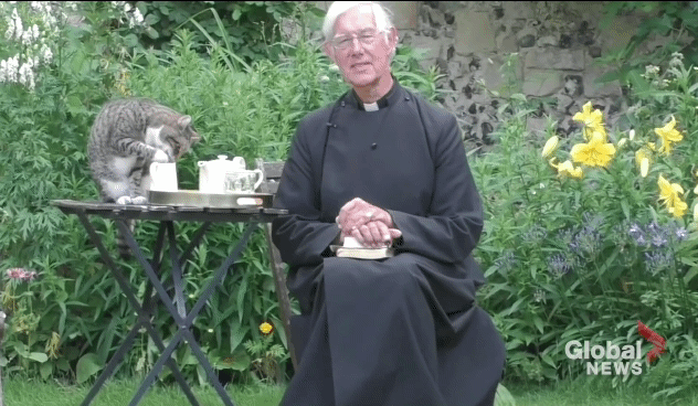 설교중인데 뒤에서 우유 훔는 고양이.gif | 인스티즈