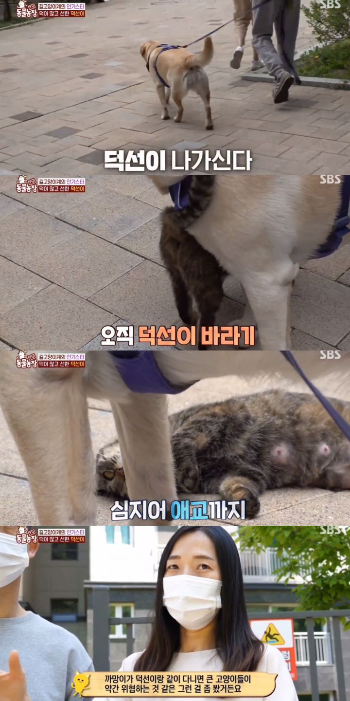 df4a1f44716d89ce491835f33474d66773a73a70