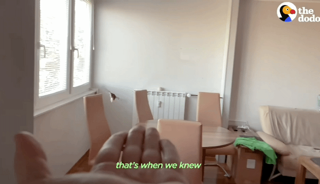 df72ecdd8855ac988a204ee4682487de9cef53bf