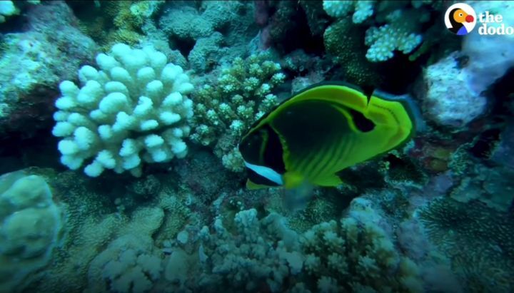 df8c198cda91c31ecea298daf5cd8edb8d04eb3d