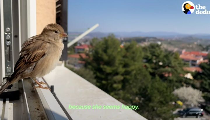 e4866b868538e2eac99db660eee2cd44aa8da783