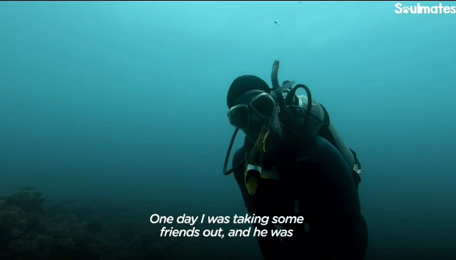 e592883ecc398af1bb4c0440fa094b7f0774f250