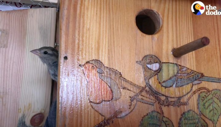 f138abf846301c62d30015cd5994a62cf8355355