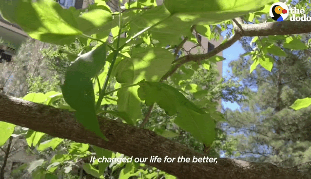 f184b88588adb6b4f2e0b7dfd5f3a98726d45b6f