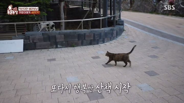 f90a969e7671782606cfdbb87b17987380a02970