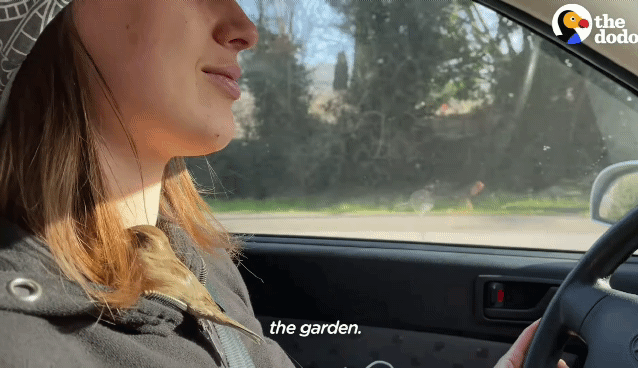 fa90c7f47ca97b12b240b1213b4e1b7199eb5cba