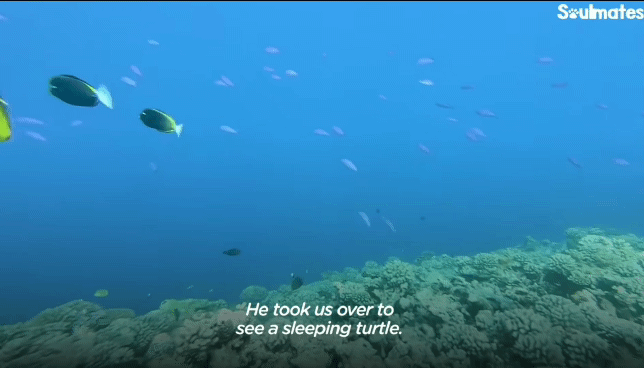 fb19e16d10b646f9e4173813ffc1a358698739ec