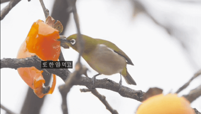 ff0bab6915c7cf41670158191aabf96be5e20923